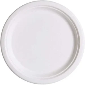 Assiette jetable ronde blanche écologique, rebord surélevé, 100% bagasse, lot de 500, idéale hygiène et restauration.