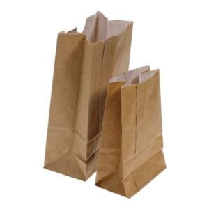 No.3/4 SAC A FRITES BRUN DOUBLE PAROIS 0.75LBS (1000/BTE)