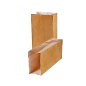 No.3 SAC A FRITES BRUN DOUBLE PAROIS 3LBS (1000/BTE)