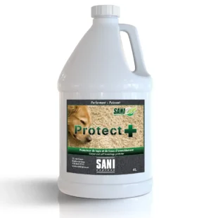 PROTECTEUR DE TAPIS ET TISSUS 4L