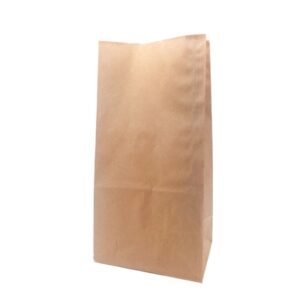 SAC EN PAPIER BRUN #12 (12LBS) 500/BTE