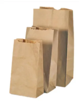 SAC EN PAPIER BRUN #7 (7LBS) 500/BTE (4-004232)