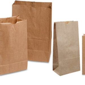 SAC EN PAPIER BRUN #8 (8LBS) 500/BTE