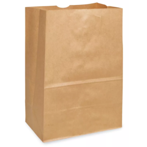 SAC POUR EMPORTER 10X6X16 DD50 (500/CSE) 4-006731