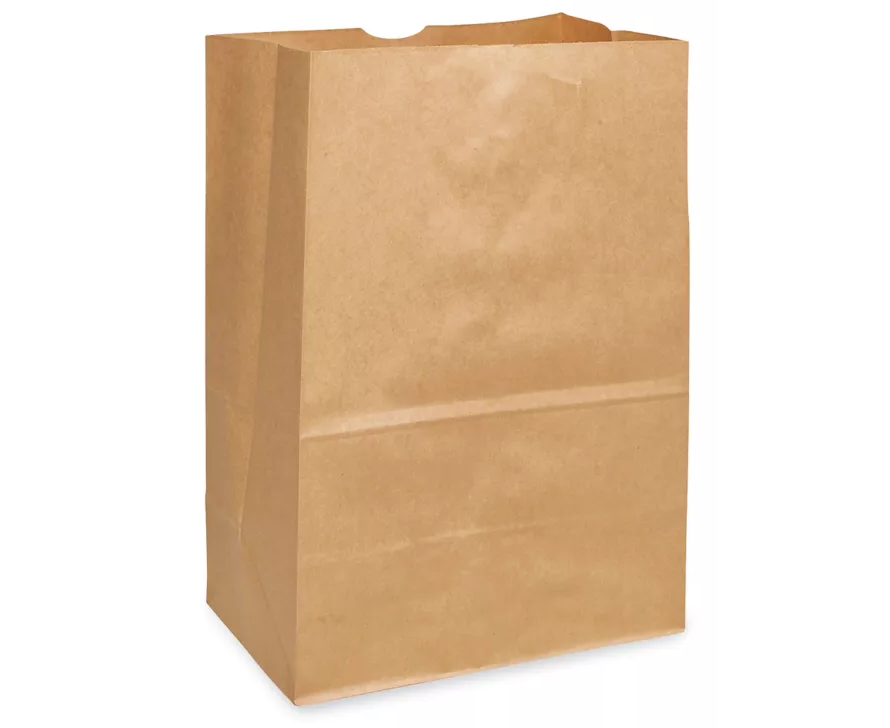 SAC POUR EMPORTER 10X6X16 DD50 (500/CSE) 4-006731