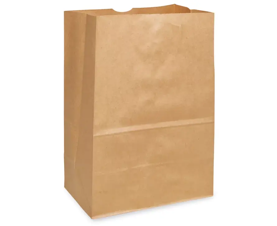 SAC POUR EMPORTER 10X6X16 DD50 (500/CSE) 4-006731