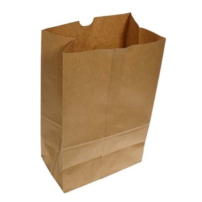 SAC POUR EMPORTER 12X7X17 DD50 500/BTE (AR-0019)