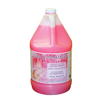SAVON MAIN MOUSSE SAFEBLEND SANS ODEUR 4L