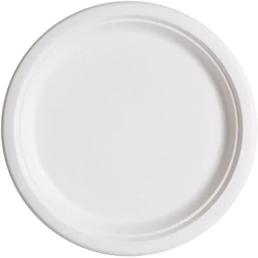 ASSIETTE EN BAGASSE 10" 500/CSE (4-005536)