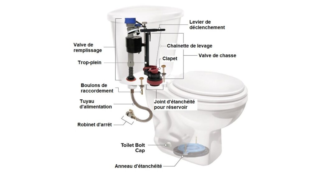 BIG D CLIP A TOILETTE CALYPSO 30-45 JOURS