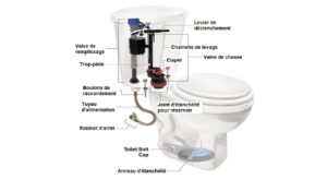 BIG D CLIP A TOILETTE CALYPSO 30-45 JOURS