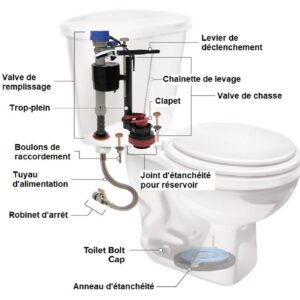 BIG D CLIP A TOILETTE CALYPSO 30-45 JOURS