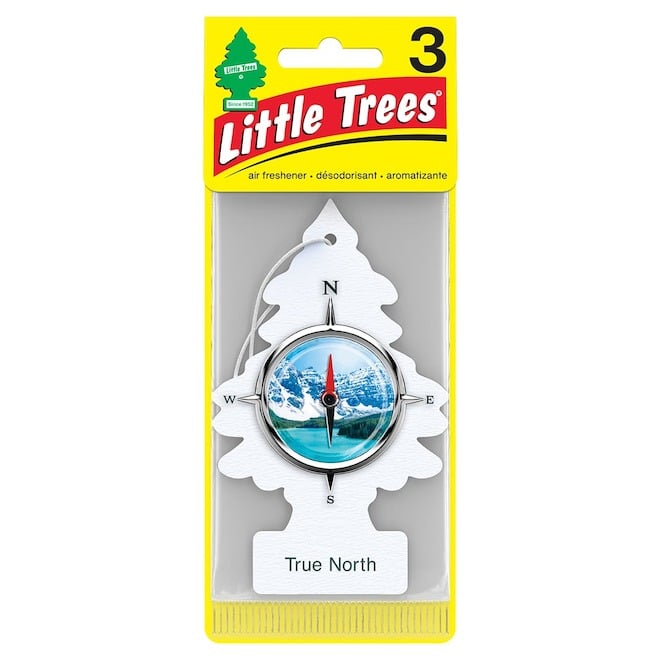 SAPIN DÉSODORISANT NEW CAR LITTLE TREES