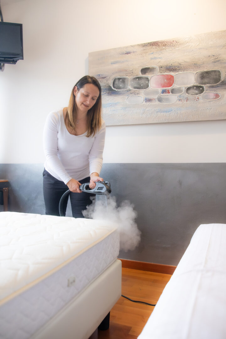 Bed Bug Remover Steam Gun — NaceCare – Image 3