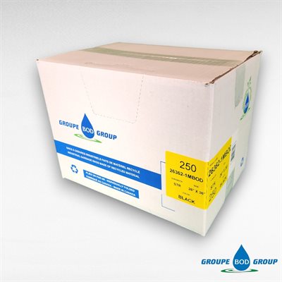 Caisse de sacs à ordures — SAC 26X36″ CANGUARD FORT NOIR 200/CSE