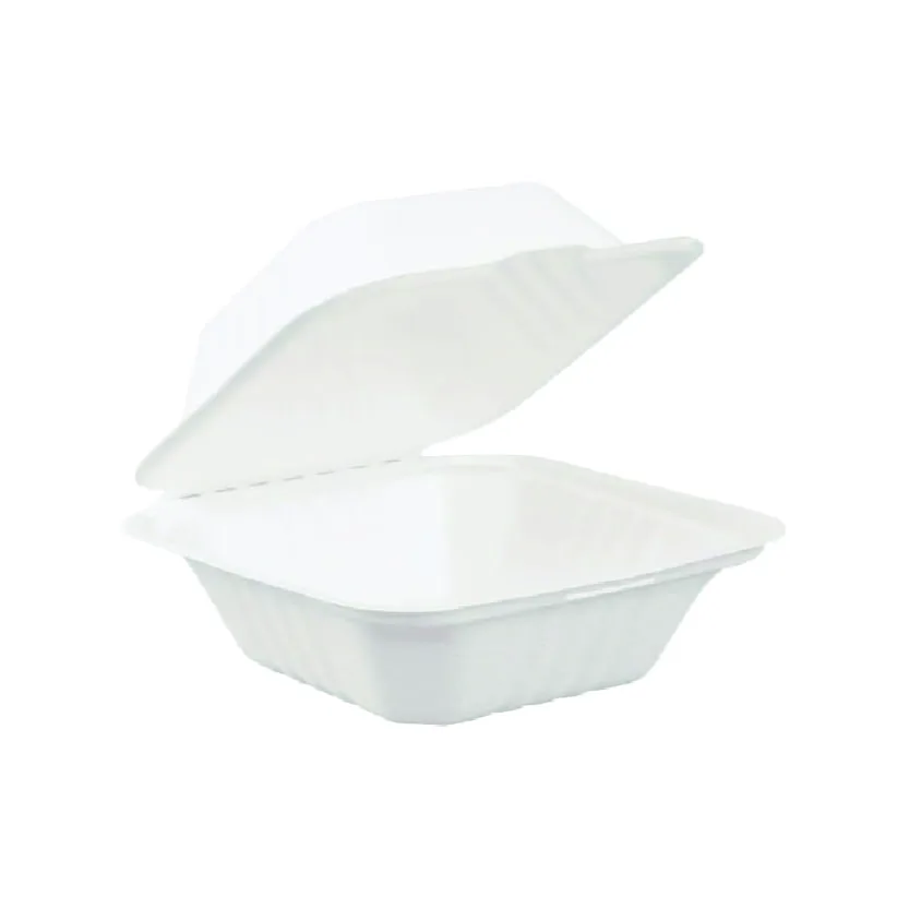 Contenant en Bagasse 6X6 500/CSE (4-002979)