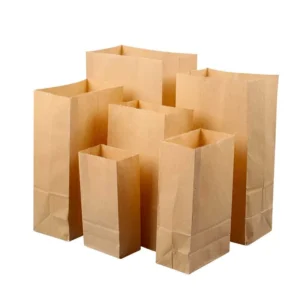 Sac en Papier Brun #8 (8LBS) 500/BTE