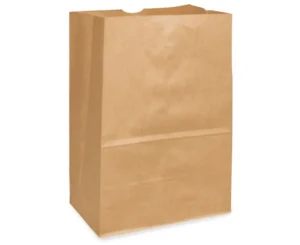Sac pour Emporter 10X6X16 DD50 (500/CSE) 4-006731