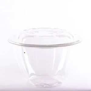 BOL A SALADE EN PLASTIQUE PET AVEC COUVERCLE 48OZ 150/CSE