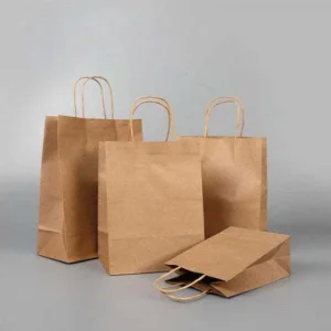SAC DE PAPIER KRAFT POIGNÉE TORSADE 13X7X13 250/PQT