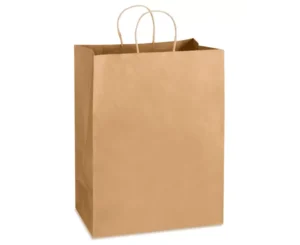 SAC DE PAPIER KRAFT POIGNÉE TORSADE 12X7X17 250/PQT