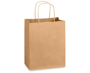 SAC DE PAPIER KRAFT POIGNÉE TORSADE 8X5X10 250/PQT