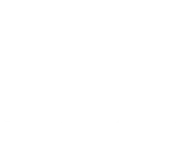 Sani Express