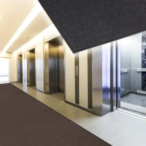 Tapis d'entrée Chevron